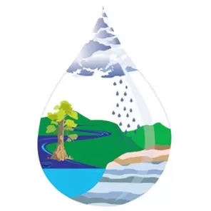 Мониторинг водных объектов